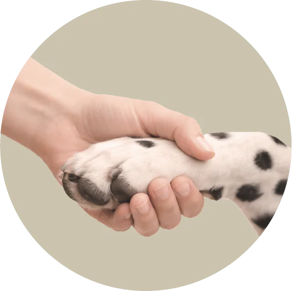 Urgencias Veterinarias
